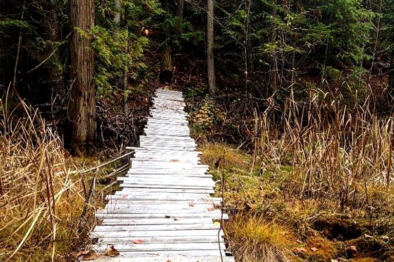 Cabins (Salmon Arm, British Columbia, Canada)