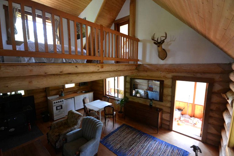 Pet friendly hot sale cabins shuswap