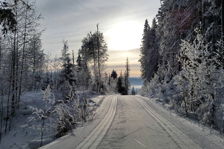 Cabins (Salmon Arm, British Columbia, Canada)