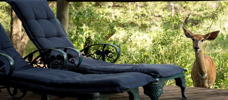 Nature Lodges (Cortenburg, Limpopo, South Africa)