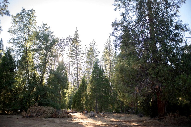 Vacation Rentals (United States of America, Groveland, California)