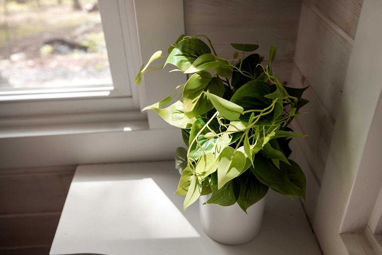 Vacation Rentals (United States of America, Great Cacapon, West Virginia)