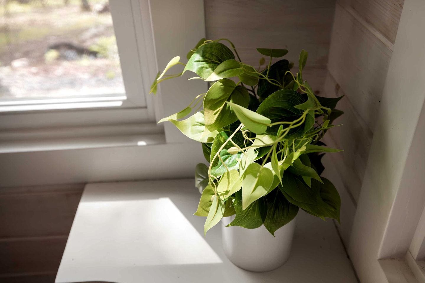 Modern Tiny Cabin with Game Room & Fire Pit in West Virginia