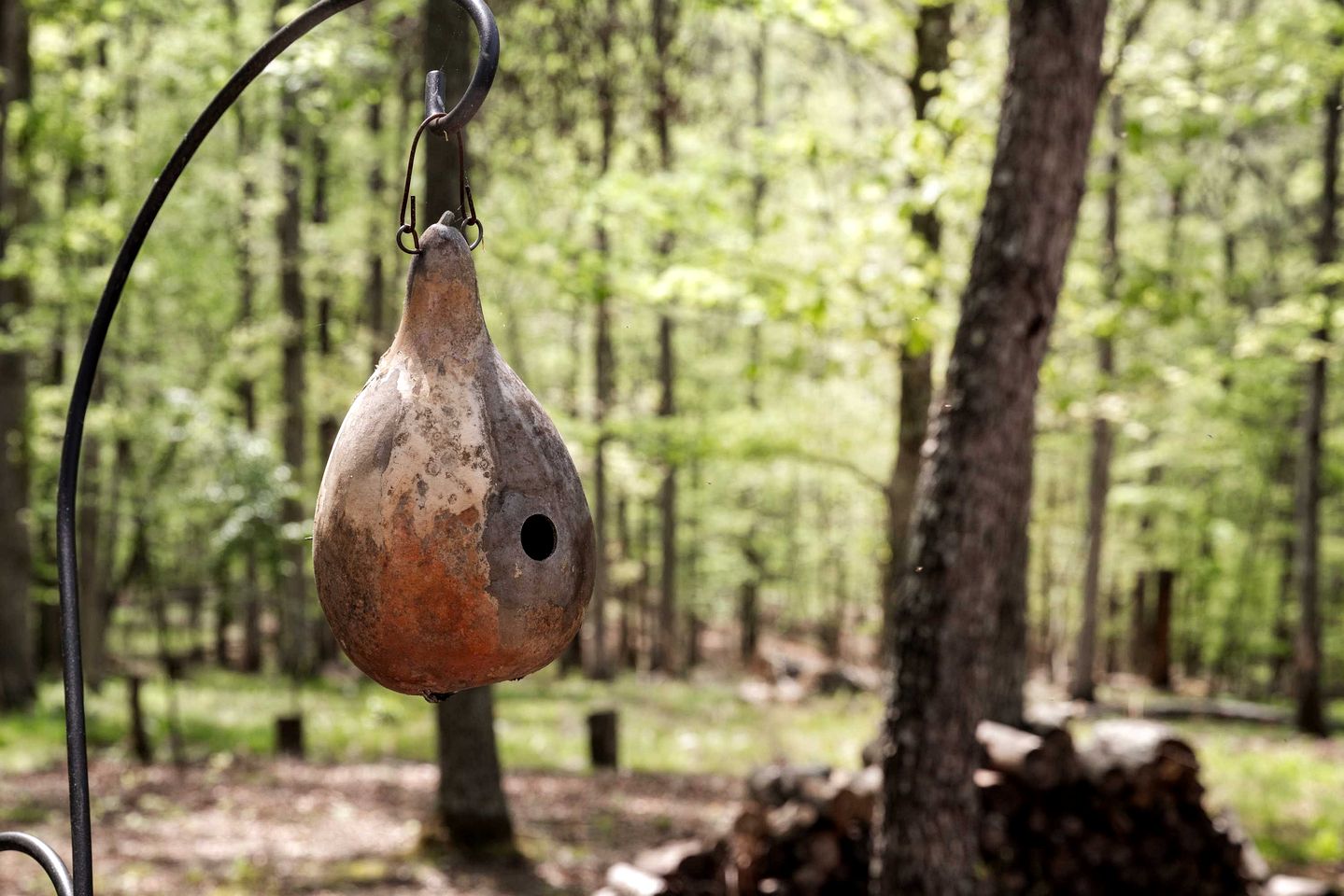 Modern Tiny Cabin with Game Room & Fire Pit in West Virginia