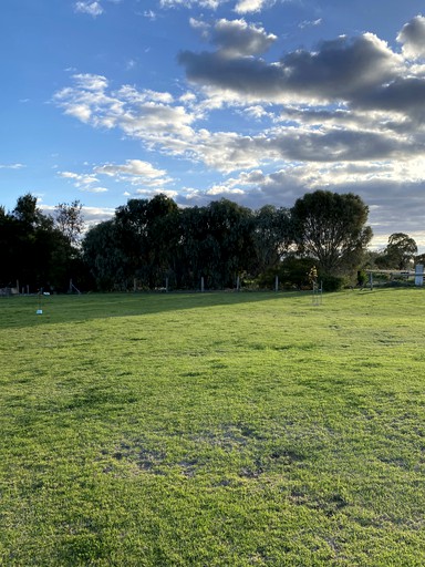 Tiny Houses (Australia, Barham, New South Wales)