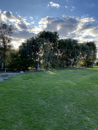 Tiny Houses (Australia, Barham, New South Wales)