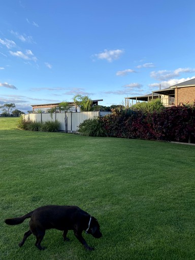 Tiny Houses (Australia, Barham, New South Wales)