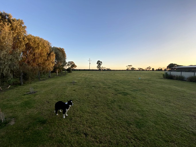 Tiny Houses (Australia, Barham, New South Wales)