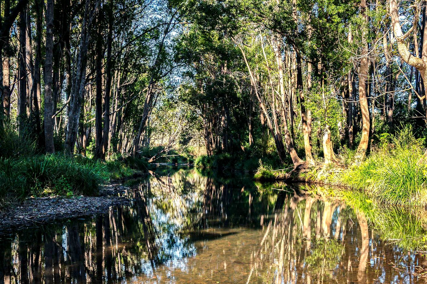 Stunning Secluded Tiny House in Glenreagh, New South Wales