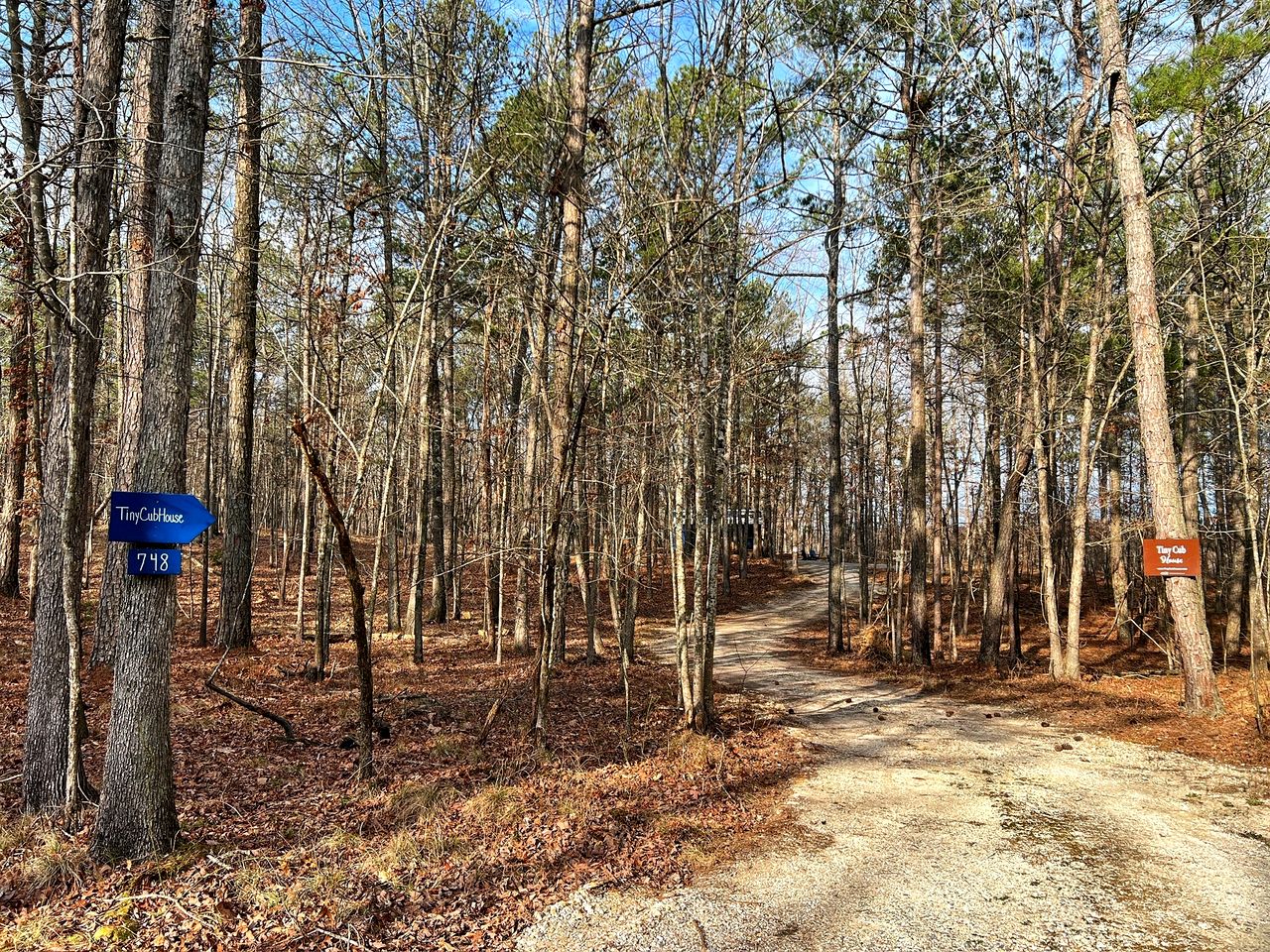 Relaxing Tiny House Surrounded by Trees for a Peaceful Escape in Nature in Mentone, Alabama