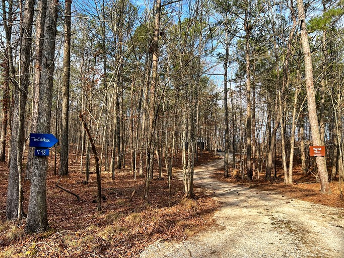 Tiny Houses (United States of America, Mentone, Alabama)