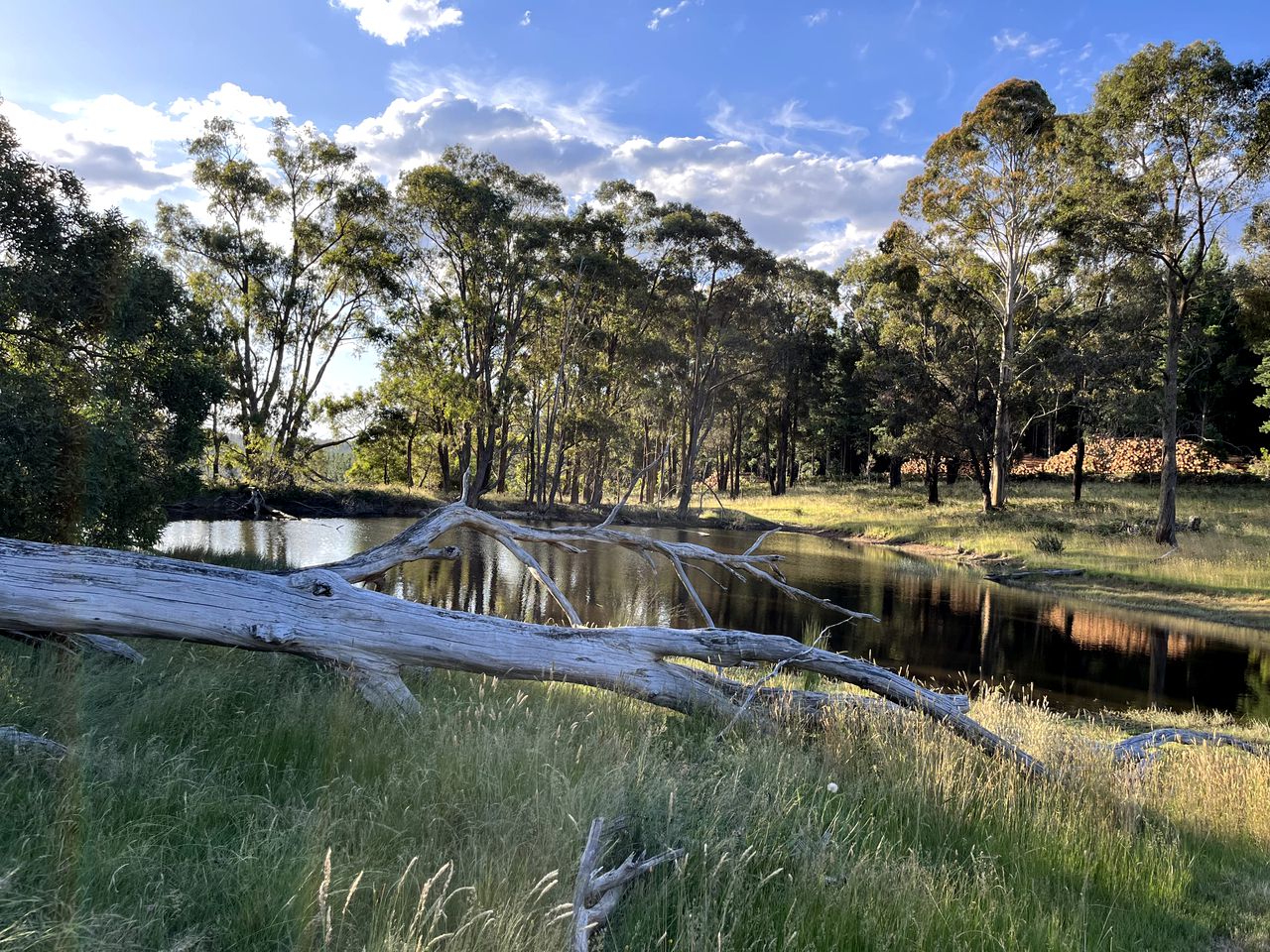 Tiny House Farm Stay for a Glamping Holiday in Bunding, Victoria