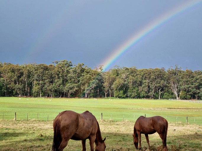 Vacation Rentals (Australia, --, --)