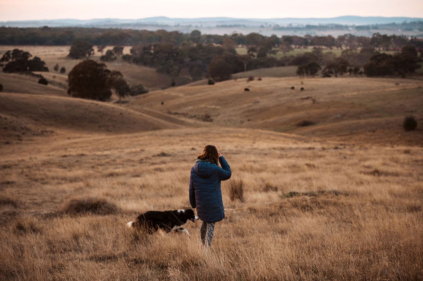 Secluded Tiny Home with Wild Yoga Retreat near Malmsbury, Macedon Ranges Victoria