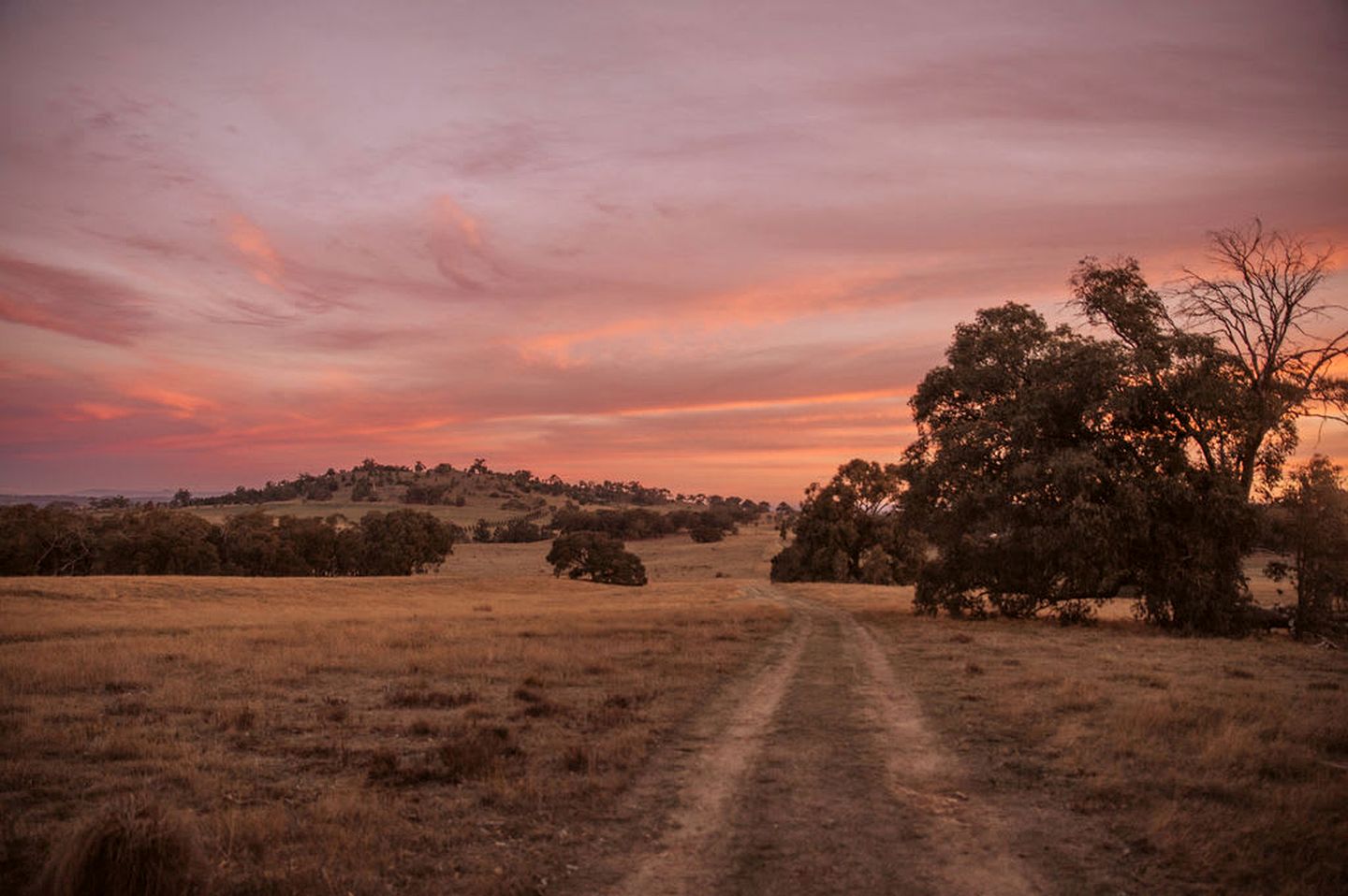 Secluded Tiny Home with Wild Yoga Retreat near Malmsbury, Macedon Ranges Victoria