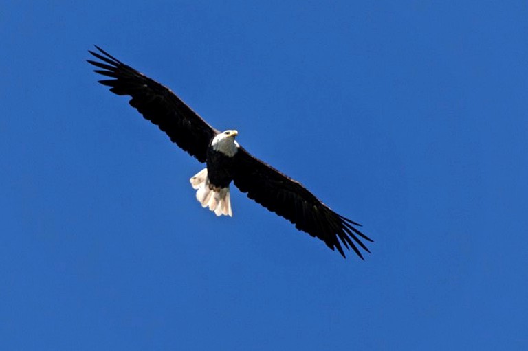 Cottages (Cape Breton Island, Nova Scotia, Canada)
