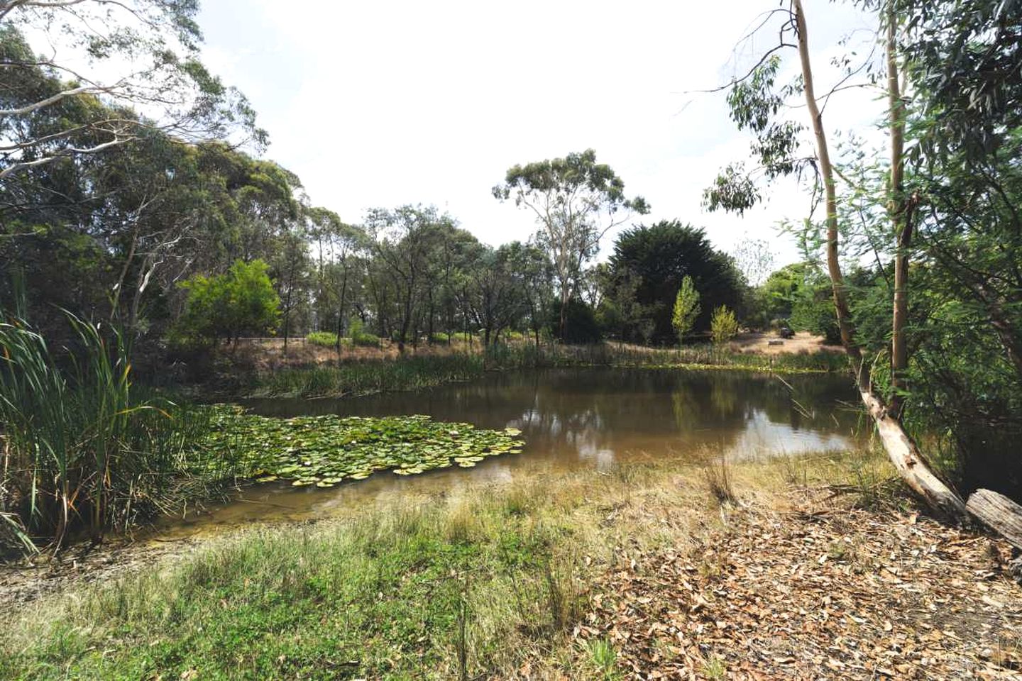 Tiny Hideaway for the Ultimate Glamping Escape near Cobaw Ranges