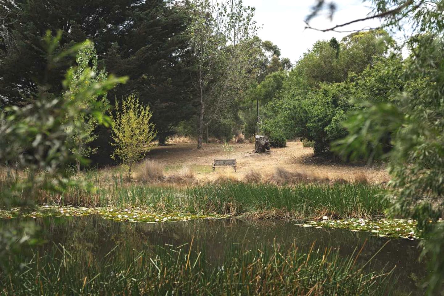 Tiny Hideaway for the Ultimate Glamping Escape near Cobaw Ranges