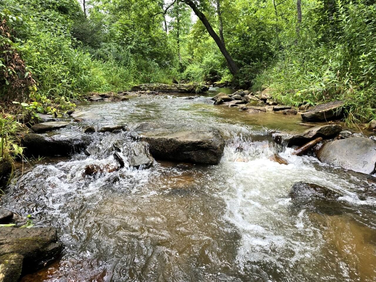 Tranquil Creekside Tiny House in the Appalachian Mountains, Perfect for a Weekend to Disconnect