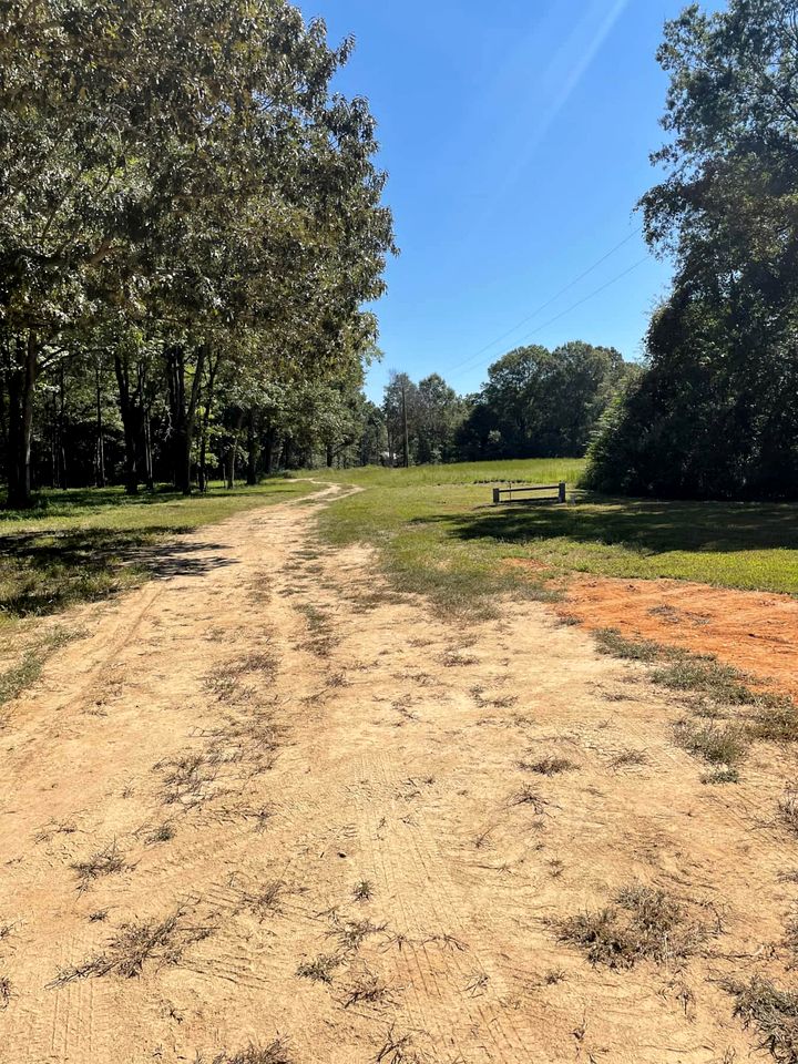 Cute Tiny House on Sixty Acres of Private Land for a Peaceful Glamping Getaway in Northern Mississippi