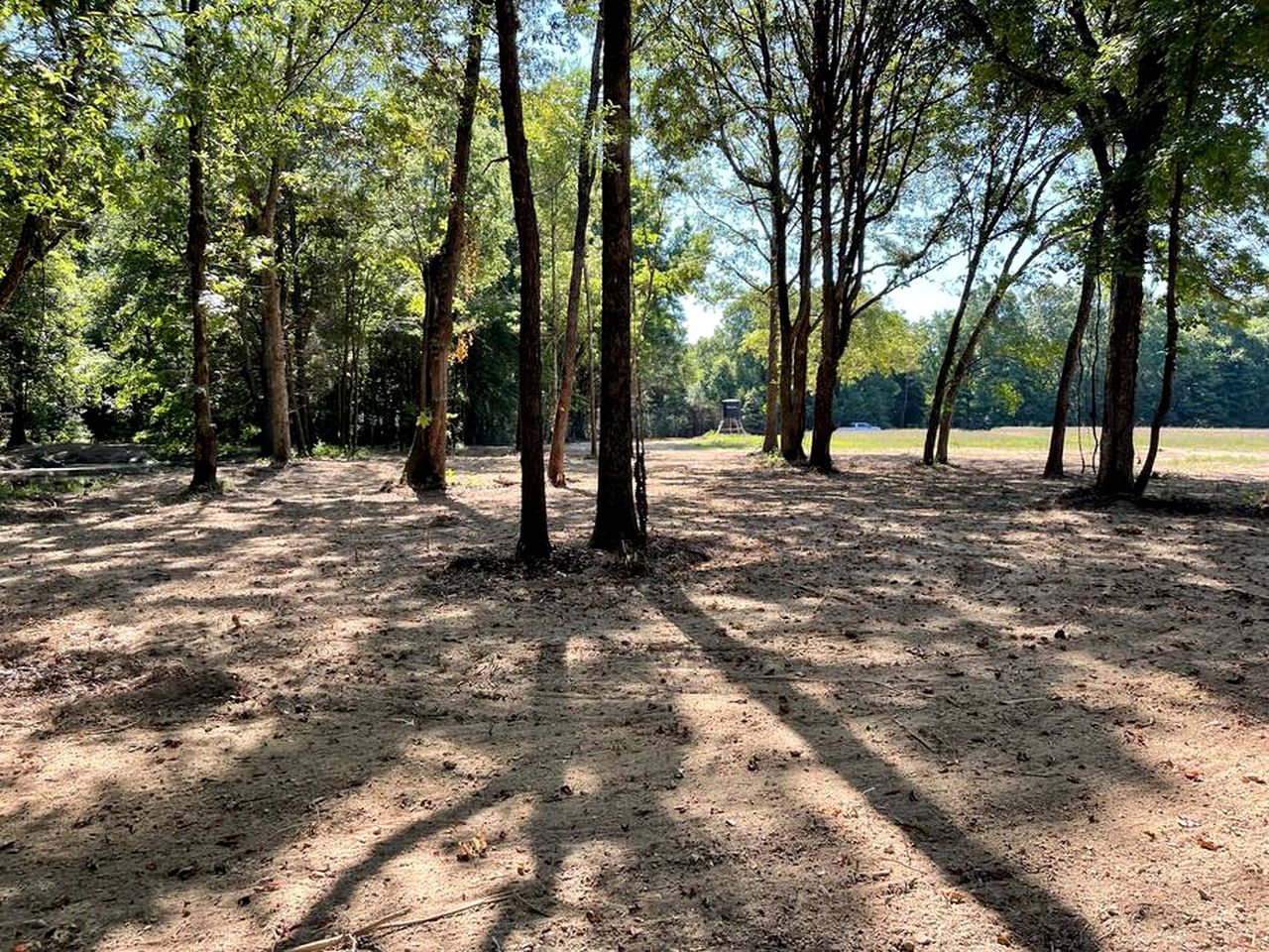 Cute Tiny House on Sixty Acres of Private Land for a Peaceful Glamping Getaway in Northern Mississippi