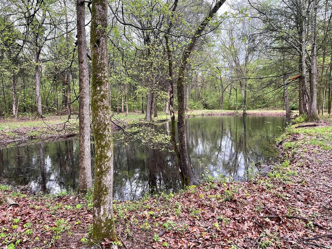 Cute Tiny House on Sixty Acres of Private Land for a Peaceful Glamping Getaway in Northern Mississippi