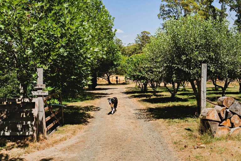 Tiny Houses (Australia, Korweinguboora, Victoria)