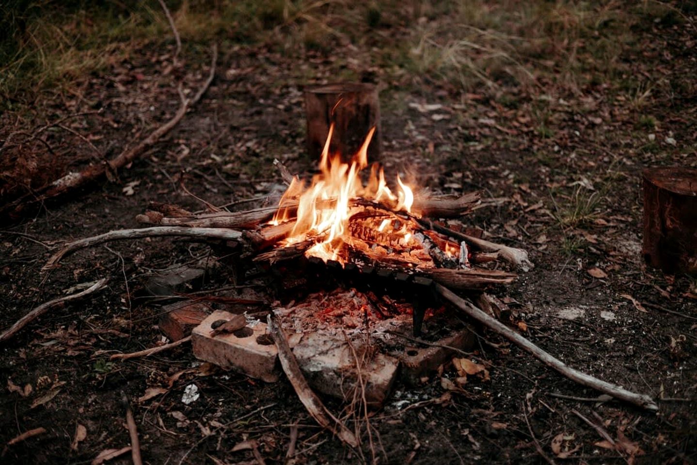 Minimalist Tiny Home Rental for Glamping in Victoria