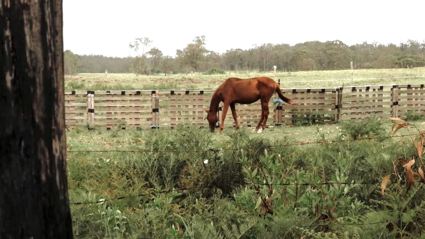 Minimalist Tiny Home Rental for Glamping in Victoria