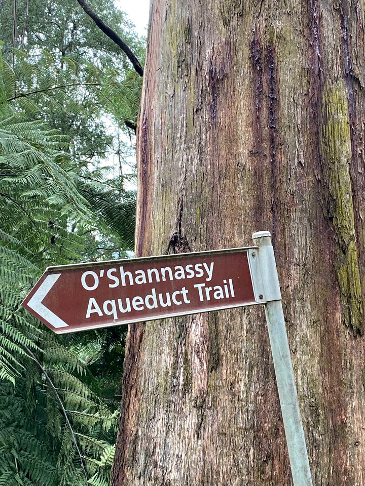 Outstanding Tiny House with Great Sights in Warburton, Victoria