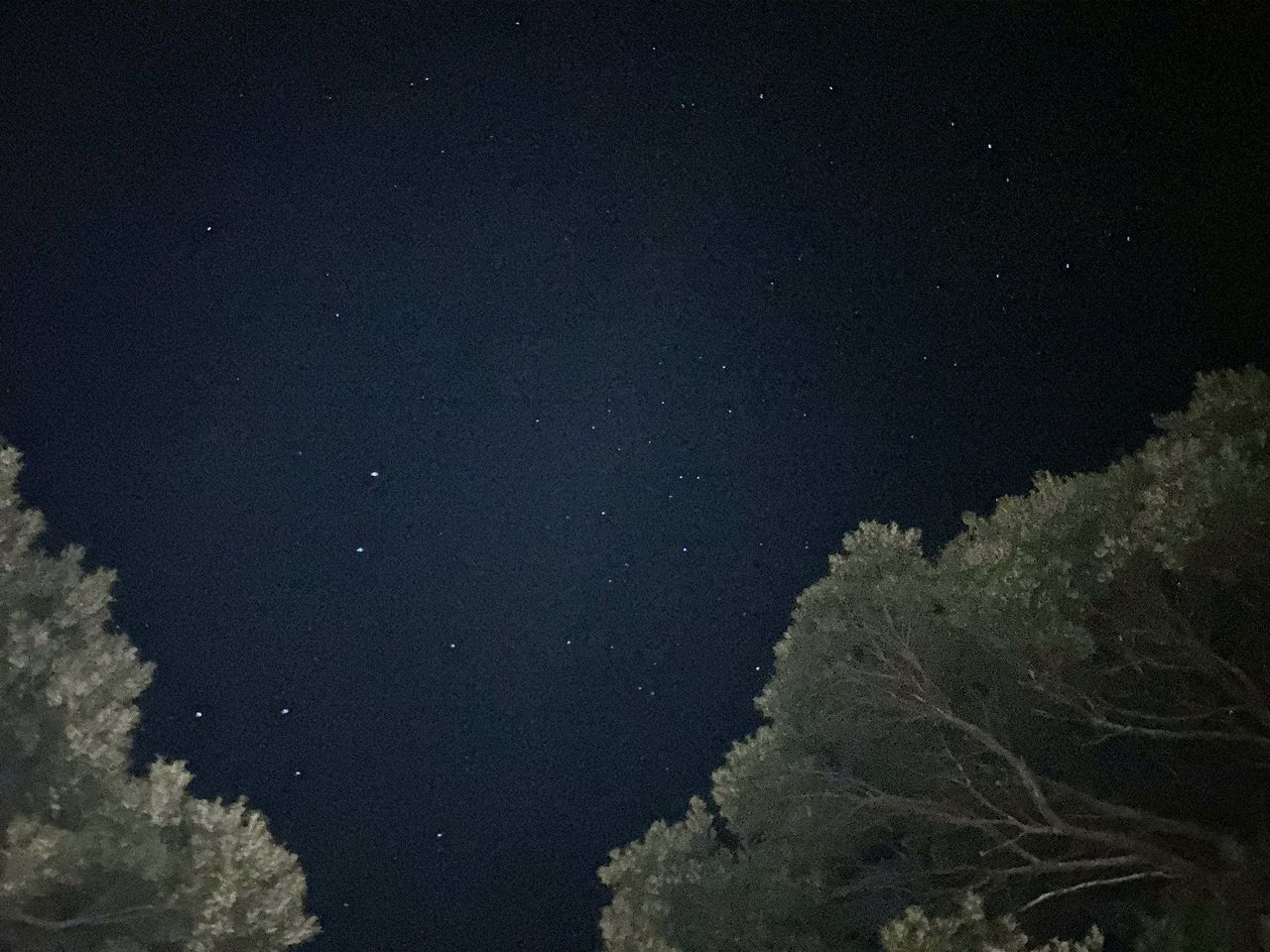 Outstanding Tiny House with Great Sights in Warburton, Victoria