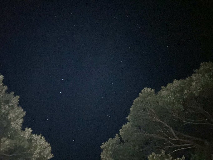 Tiny Houses (Australia, Warburton, Victoria)