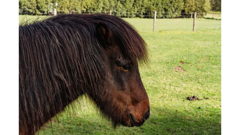 Vacation Rentals (Australia, Wesburn, Victoria)