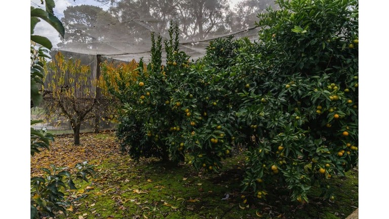 Vacation Rentals (Australia, Wesburn, Victoria)