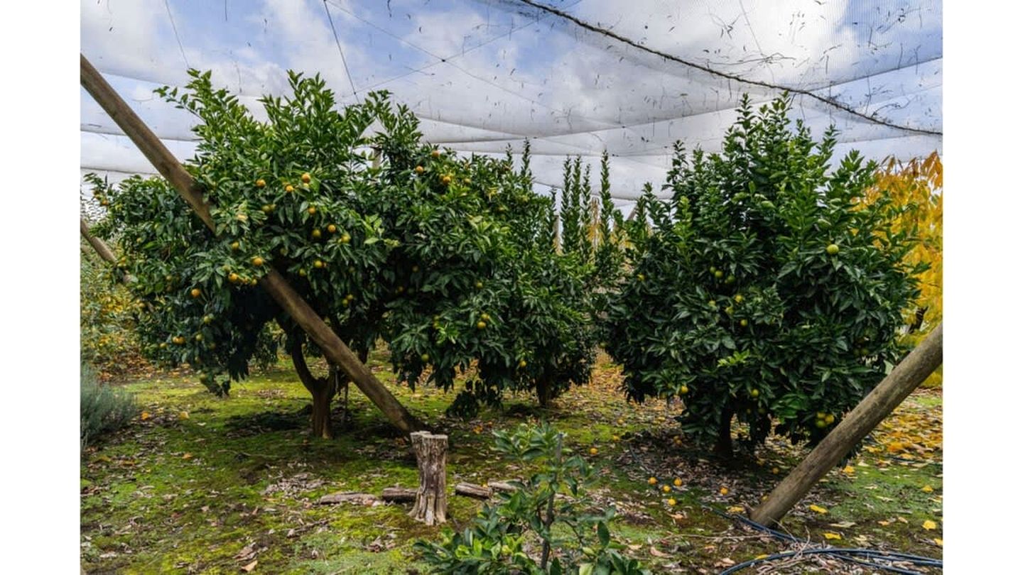 Yarra Valley Tiny Home Rental for an Australian Holiday