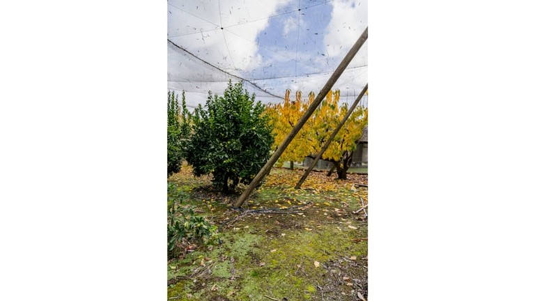 Vacation Rentals (Australia, Wesburn, Victoria)