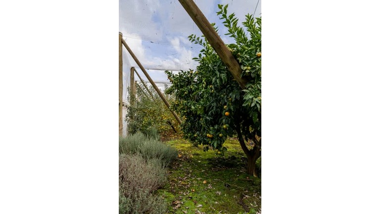 Vacation Rentals (Australia, Wesburn, Victoria)