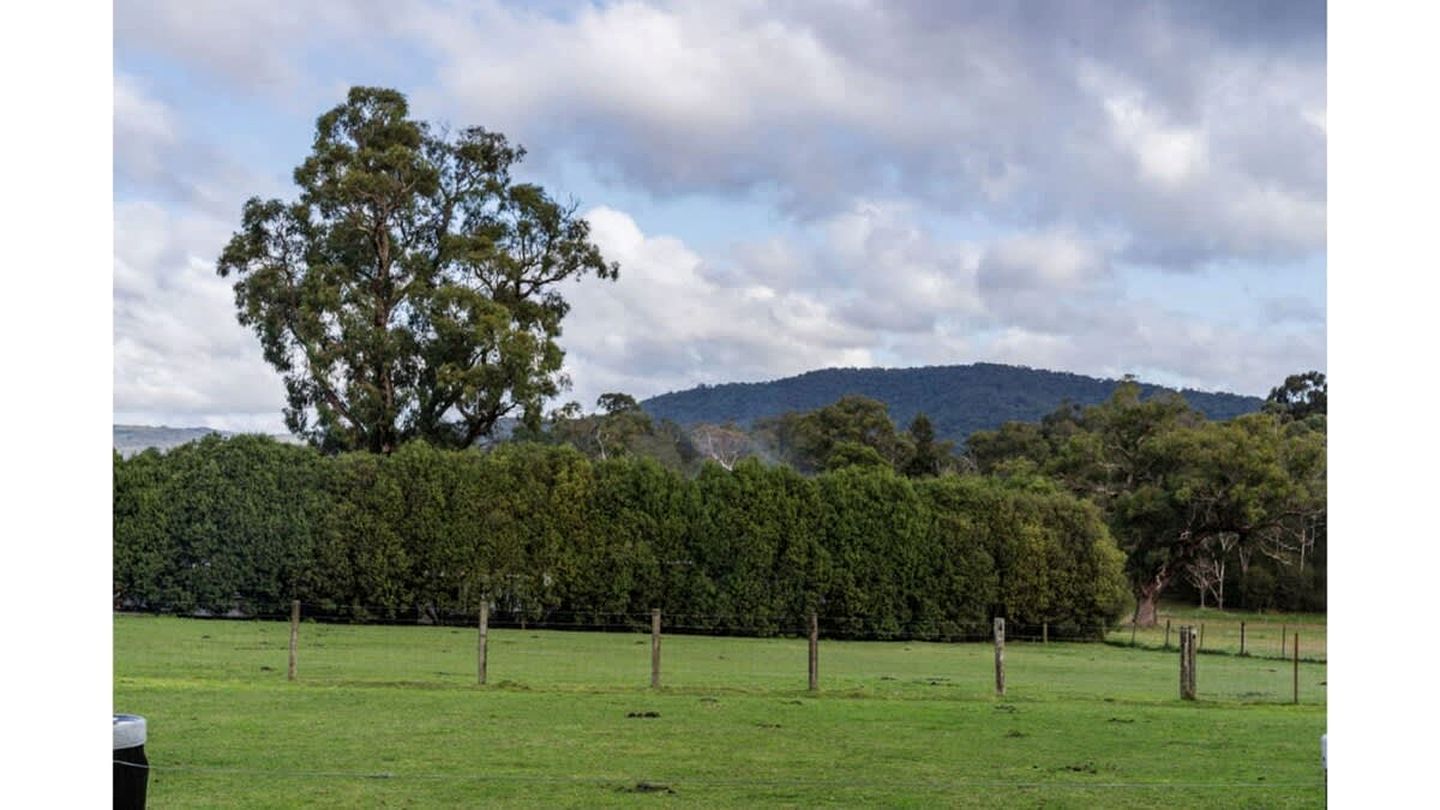 Yarra Valley Tiny Home Rental for an Australian Holiday