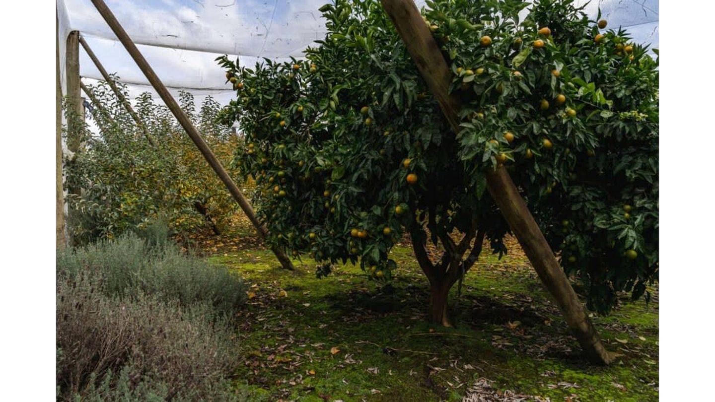 Yarra Valley Tiny Home Rental for an Australian Holiday