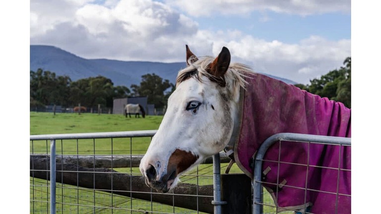 Vacation Rentals (Australia, Wesburn, Victoria)