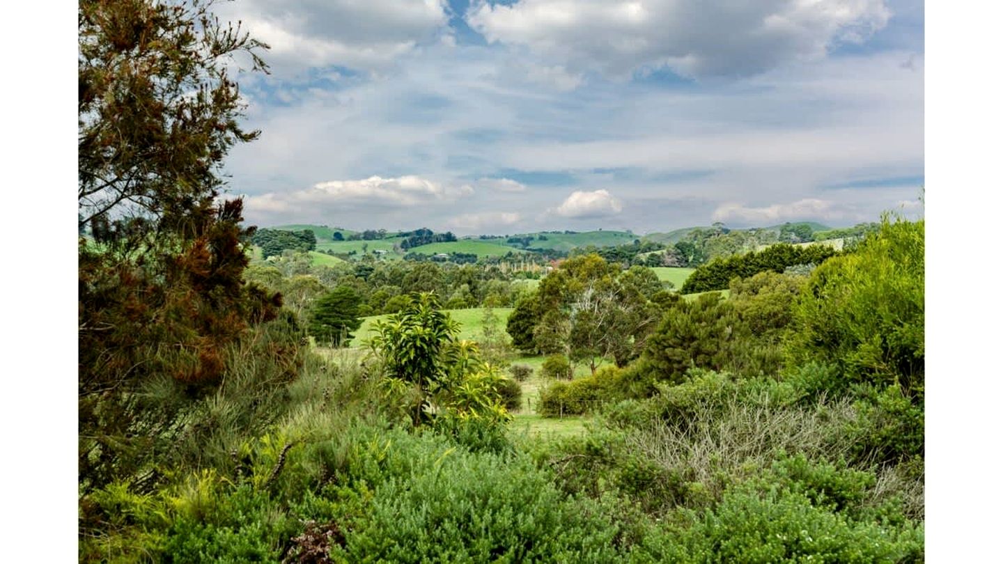 Wodalla Horse Farmstay in Nyora, Victoria