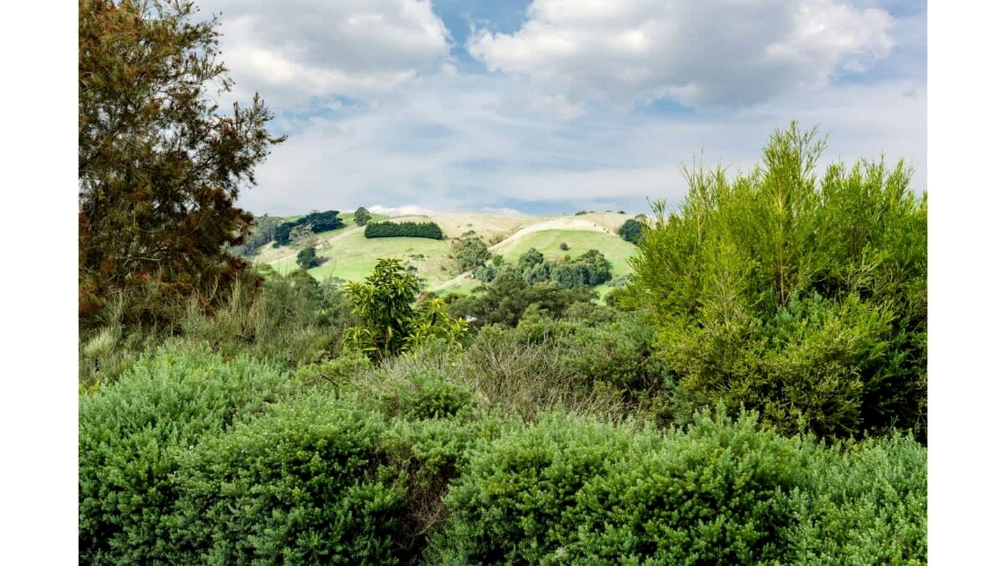 Wodalla Horse Farmstay in Nyora, Victoria