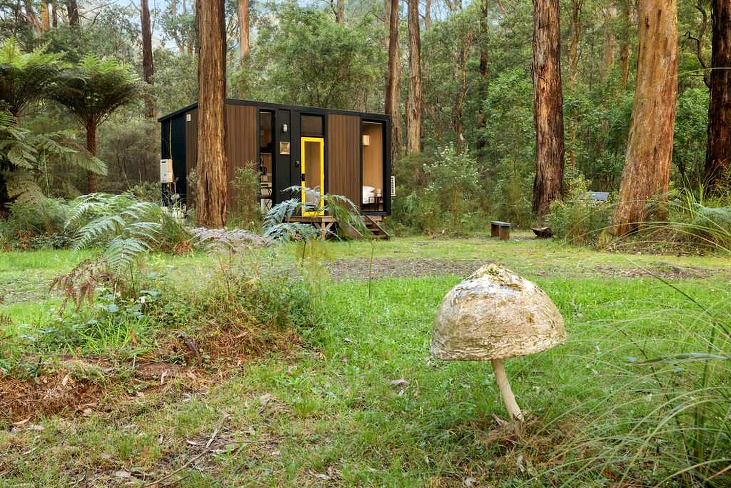 Springwater Gardens Tiny Home Rental for a Yarra Valley Holiday