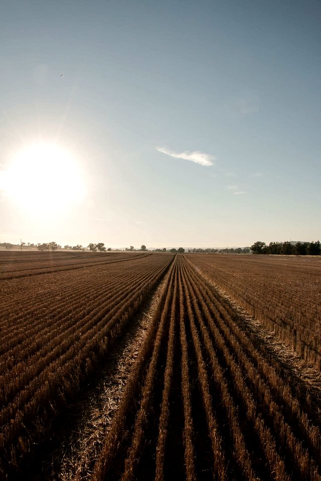 Charming Tiny Home on a Farm for a Romantic Getaway in NSW