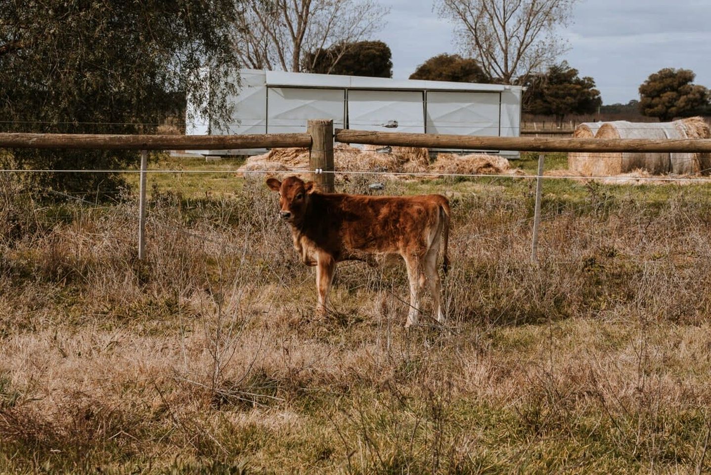 Organic Farm Stay in Mundoona, Victoria