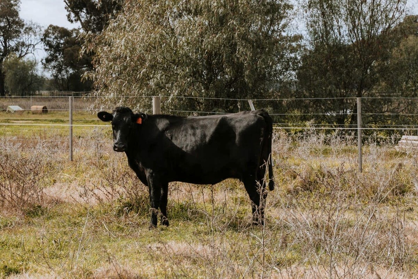 Organic Farm Stay in Mundoona, Victoria