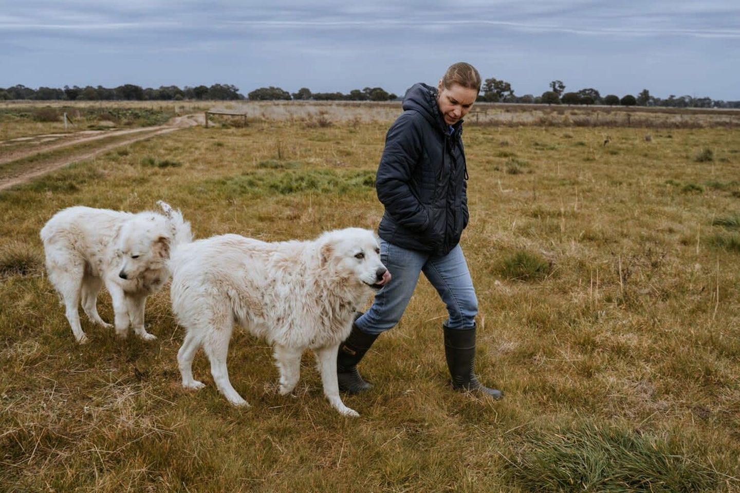 Organic Farm Stay in Mundoona, Victoria