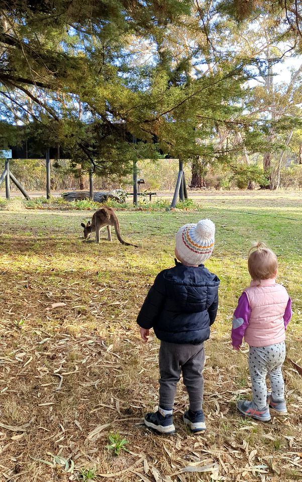 Marvelous Tiny House with Recreational Room and Outdoor Barbecue in Victoria, Australia