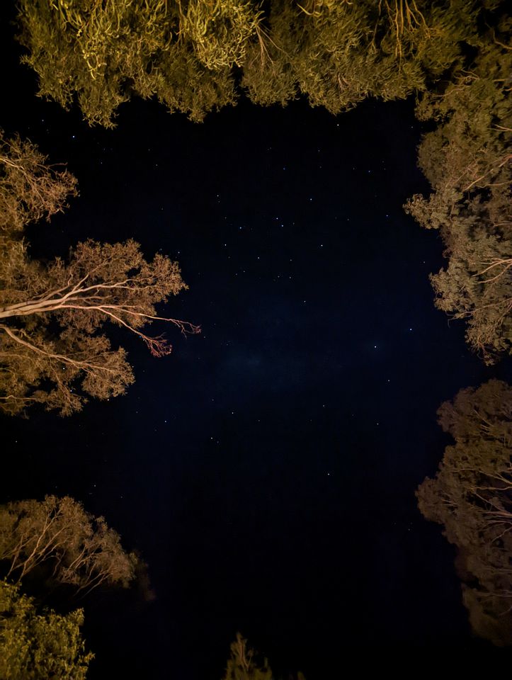 Dreamy Tiny House with Firepit, Tennis Court and Pool Table in Victoria, Australia