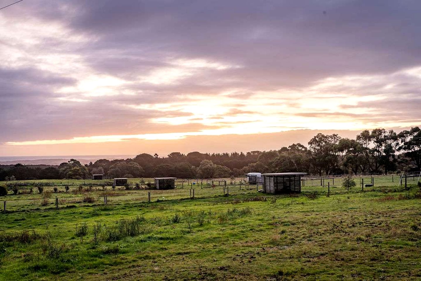 Cozy Tiny House Accommodation for Glamping in Victoria
